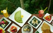 Туры в отель Eden House Ubud
