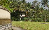Туры в отель Eden House Ubud