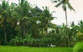 Туры в отель Eden House Ubud