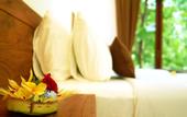 Туры в отель Eden House Ubud