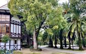 Туры в отель Zhoekvara Hotel