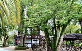 Туры в отель Zhoekvara Hotel