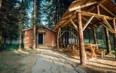 Туры в отель Piknik Hotel