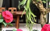 Туры в отель The Hidden Bali Inn