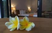 Туры в отель The Hidden Bali Inn