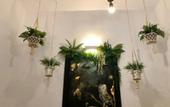 Туры в отель Villa Vager Mani