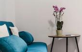 Туры в отель Alea Home Roma