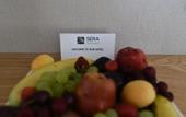 Туры в отель Sera Nature Hotel
