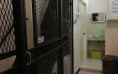 Туры в отель Sip N' Camp - Hostel