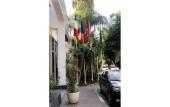 Туры в отель Hotel Jacaranda