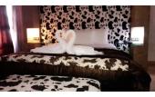 Туры в отель Hotel Jacaranda