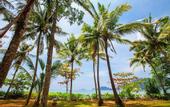 Туры в отель Amatapura Beach Villa 6