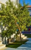 Туры в отель Karyada Hotel