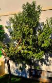 Туры в отель Karyada Hotel