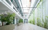 Туры в отель Eastern Hotel Georgetown