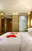 Туры в отель Shenzhen Pengcheng Lijing Hotel
