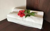Туры в отель Little Gem Hotel Tulum La Veleta