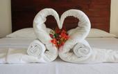 Туры в отель Little Gem Hotel Tulum La Veleta
