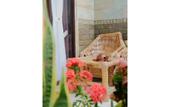 Туры в отель Tropical Garden Inn