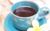 Туры в отель Tropical Garden Inn