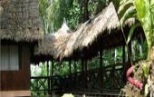 Туры в отель Heliconia Amazon River Lodge