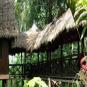 Туры в отель Heliconia Amazon River Lodge, оператор Anex Tour