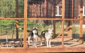 Туры в отель Zagorodnyij Ryibolovnyij Klub Litvinovo Guest house