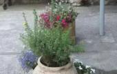 Туры в отель Guest House Solnechnaya dacha