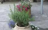 Туры в отель Guest House Solnechnaya dacha