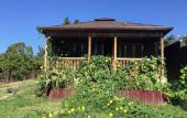 Туры в отель Psyrtskha Guest house