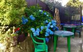 Туры в отель Psyrtskha Guest house