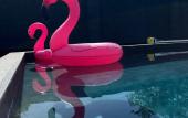 Туры в отель Belye Nochi Guest House