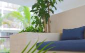 Туры в отель Hotel Blanco Tulum - Adults Only