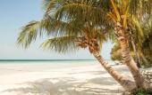 Туры в отель Hotel Blanco Tulum - Adults Only
