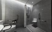 Туры в отель Holiday Inn Express Shenzhen Longhua by IHG