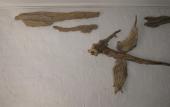 Туры в отель Abba  House Hotel