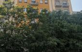 Туры в отель Green Ribbon