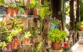 Туры в отель Flores Alacati Hotel