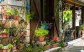 Туры в отель Flores Alacati Hotel