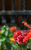 Туры в отель Flores Alacati Hotel