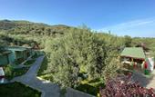 Туры в отель Balim Butik Hotel