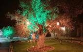 Туры в отель Balim Butik Hotel