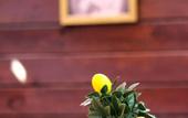 Туры в отель Viya Boutique Otel Alacati
