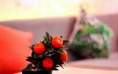 Туры в отель Viya Boutique Otel Alacati