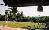 Туры в отель Raditya Villa Ubud