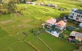 Туры в отель Raditya Villa Ubud