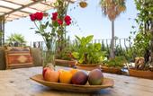 Туры в отель Cortijo Boutique Marbella
