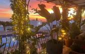 Туры в отель Cortijo Boutique Marbella