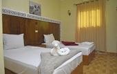 Туры в отель Pyramids paradise hotel