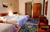 Туры в отель Pyramids paradise hotel